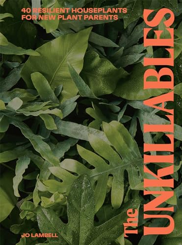 The Unkillables: 40 resilient house plants for new plant parents image 3