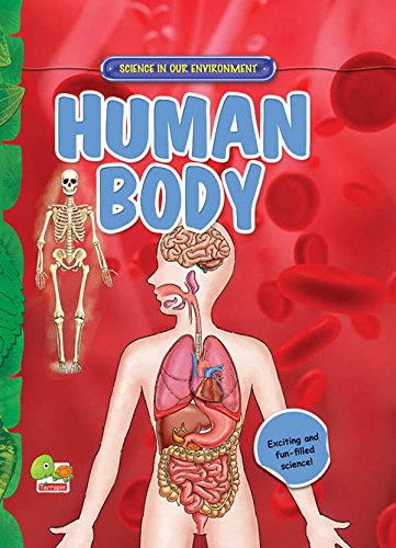 Human Body: Key stage 2