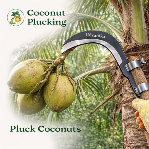 Grass Sickle Cutter Head | Heavy Coconut Plucker with Adjustable Handle Clamp | Razor- Sharp Metal Blade for Tree Branches, Grass, Weeds, Gardening | Multipurpose Agricultural Hand Tool - Image 4