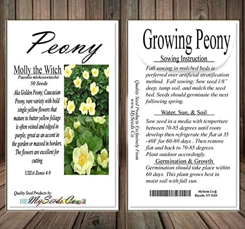 Miniatura 4 de MySeeds.Co - BIG PACK Seeds Paquete grande de semillas de jardín de frutas de flores de supervivencia, exóticas, raras, sin OMG y reliquia, variedad