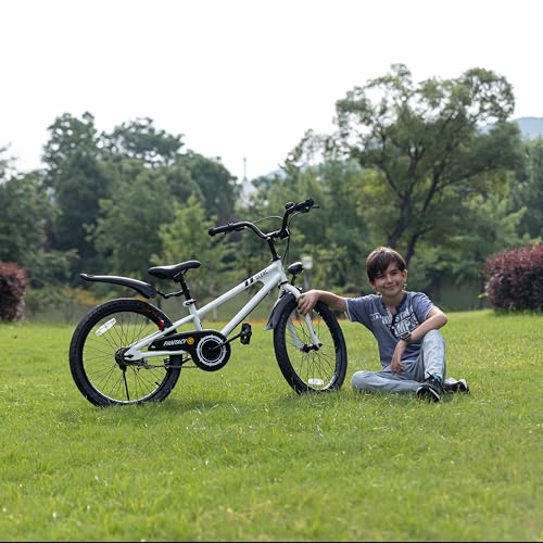 Glerc Fantacy 20 Inch Kids Bike