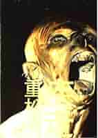 【中古】 私が嫌いな私/太田出版/重松清 2025年最新】Yahoo!オークション -重松 清の中古品・新品・未