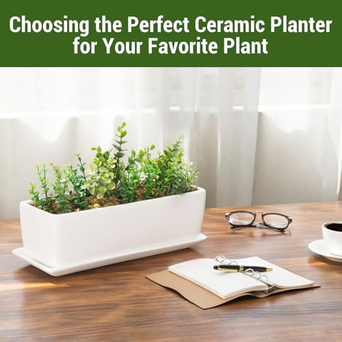 Image of MyGift 14 Inch Ceramic Indoor Plant Pot with Drainage Hole, Rectangular Succulent Planter Window Box with Removable Saucer, Unglazed White (Pack of 2)
