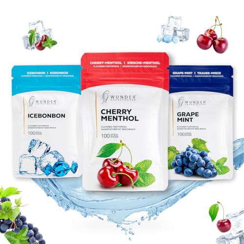 Cure-dents aromatisés en bois de bouleau pack haleine fraîche aide pause sans tabac
