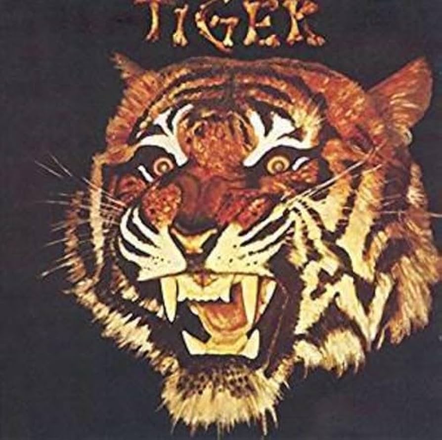 希少廃盤美品！TIGER ARMY CDアルバム5枚セット タイガー・アーミー 希少廃盤美品！TIGER ARMY CDアルバム5枚セット タイガー