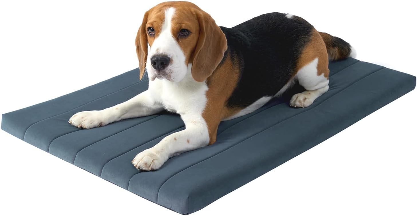 BALANCE Dog Crate Bed, Orthopedic Dog Bed Pad with Waterproof Liner, Washable Crate Foam Pet Mat for Large, Medium, Puppy Dogs Breeds, Periscope, 36"x23"x1.6"