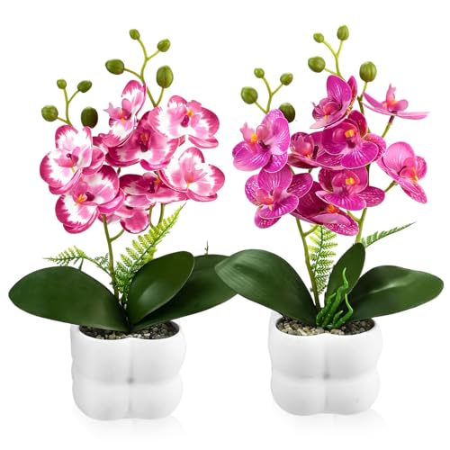 2 Stk Orchideen künstlich Kunstblumen & -Pflanzen - 27cm Künstliche Blumen