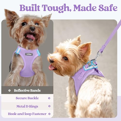 Rabbitgoo Step-In Harness & Leash Set (Light Purple, Small) — view 7