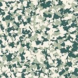 Epoxy FX - 1/4' - (1 Pound - 16 oz) Floor Flakes/Chips for Decorative Floors and Walls - Interior/Exterior (426 Green Bay)