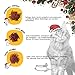Dogs'n Tiger - Guido Maria Kretschmer Katzen Adventskalender 2025, Adventskalender für Katzen – Natürliche & hochwertige Snacks aus 85% Fleisch hinter jedem Türchen, ohne Zucker & Getreide
