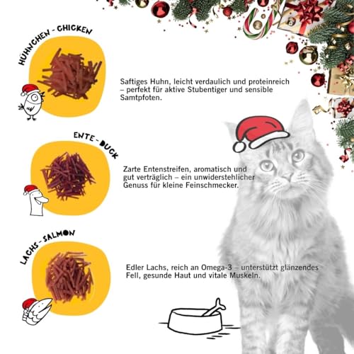 Dogs'n Tiger - Guido Maria Kretschmer Katzen Adventskalender 2025, Adventskalender für Katzen – Natürliche & hochwertige Snacks aus 85% Fleisch hinter jedem Türchen, ohne Zucker & Getreide