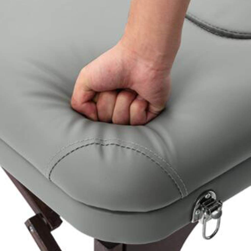 Lettino da Massaggio Pieghevole e Regolabile per Salone e Spa, Lettino per estetica Mobile con Fisioterapia e Funzione, Lettino Portatile per Uso Domestico(Grey-186 * 70 * 52