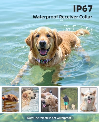 2-in-1 Dog Shock Collar and Bark Collar for Dogs – 3300FT Dog Training Collar with Remote, IP67 Waterproof e Collar with Anti-Bark/Beep/Vibration/Shock Modes for Small Medium Large Dog(8-120Lbs) - Image 6