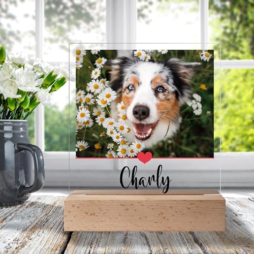 True Statements Personalisiertes Foto Geschenk für Hundebesitzer: Acrylaufsteller mit eigenem Bild, Geschenke für Hundeliebhaber Haustiere- Acrylglas inkl. Holzsockel - 15x18 cm (Herzlinie)