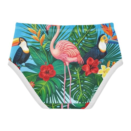 Toddler Girls Underwear 2t Cotton Little Girl Panties Flower Briefs Undies Kids Tropical Scene Pink Flamingo Toucan2