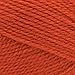 Lion Brand Yarn Basic Stitch Premium Yarn, Cayenne