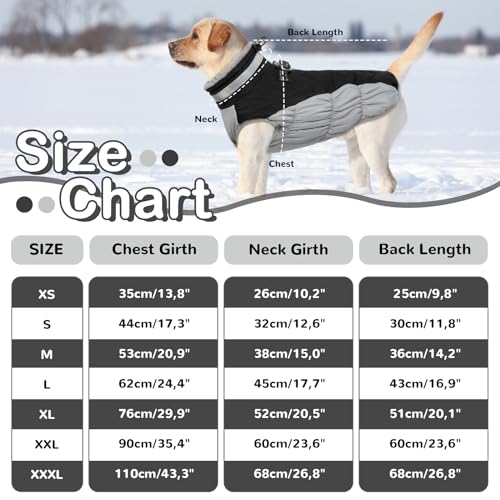 Hjumarayan Hundemantel für Kleine Mittelgroße Grosse Hunde, Hundejacke Warme Hundeweste Wintermantel Hund Wasserdicht Hunde Mantel Gefüttert, Hundemantel Französische Bulldogge (Schwarz M)