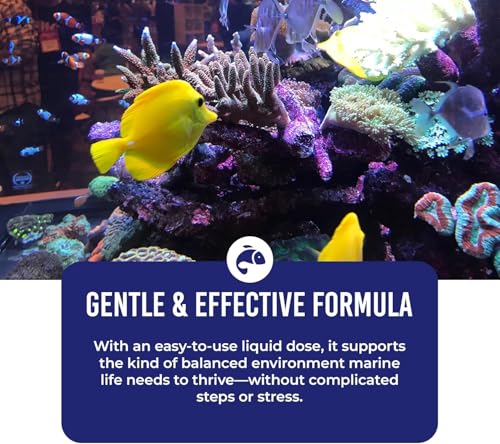 Image of DrTim's Aquatics One and Only Saltwater (DrTim's Aquatics One and Only Saltwater 8oz)
