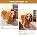 Löwenmähne Perücke für Hundekostüm mit Ohren, verstellbar, für Cosplay, Urlaub, Fotoshootings, Party, ausgefallener Löwenhut, Party, Aktivität, Hellbraun