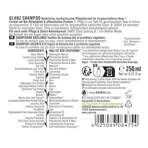 SANTE Naturkosmetik FAMILY Glanz Shampoo, silikonfreie Glanzpflege mit Bio-Birkenblattextrakt und pflanzlichem Protein, vegane Haarpflege für gepflegtes und natürlich glänzendes Haar, 500ml