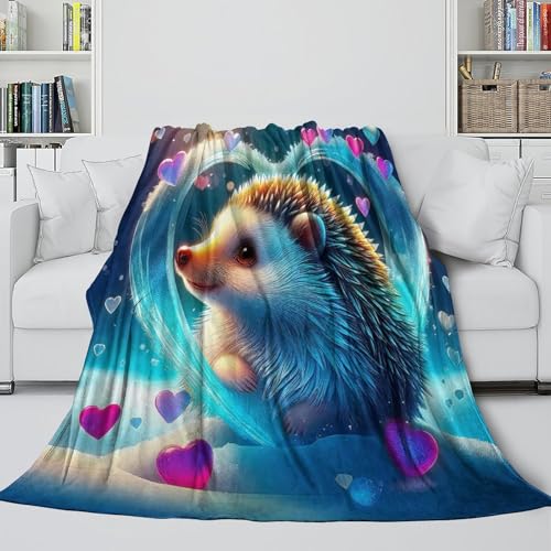 Couverture hérisson 3D couvre lit microfibre chaude couverture douillette 127x152