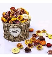 Natural Dried Daisy Flowers Heads - 40~50 Pcs Gerbera Daisies Faux Sunflowers Chrysanthemum, Dry ...