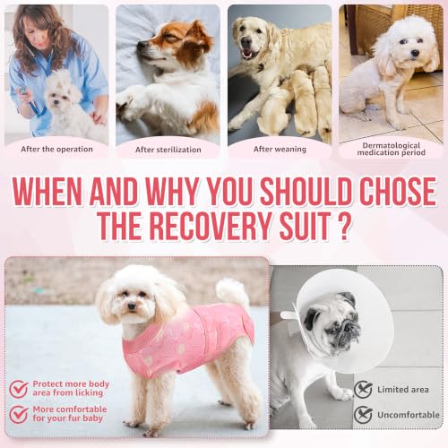 Image of Lukovee Recovery Suit for Dogs, Female Male Spay Neuter Post Surgery Suit | Zipper on Onesie,Soft Breathable, Adjustable Abdominal Wounds Prevent Licking, Cone E-Collar Alternative (Pink Strawberry,XL)
