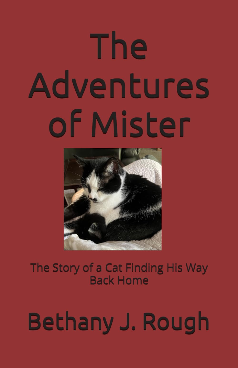 The Adventures of Mister