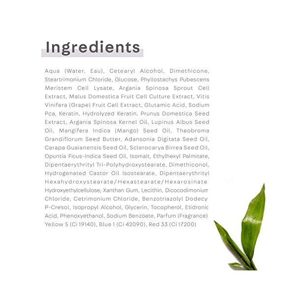 NatureLab Tokyo Perfect Repair Treatment Masque: Heat and Color Protection, Hair Mask Treatment to Strengthen and Repair Dull, Damaged, Brittle Hair I 6.7 FL OZ / 200ml