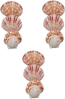Abaodam Decoração De Aquário De Peixes 150 Peças Decorações De Tanque De Peixes Conchas Para Decoração Conchas Para Artesanato Conchas De Praia Conchas Naturais Vieira Mini