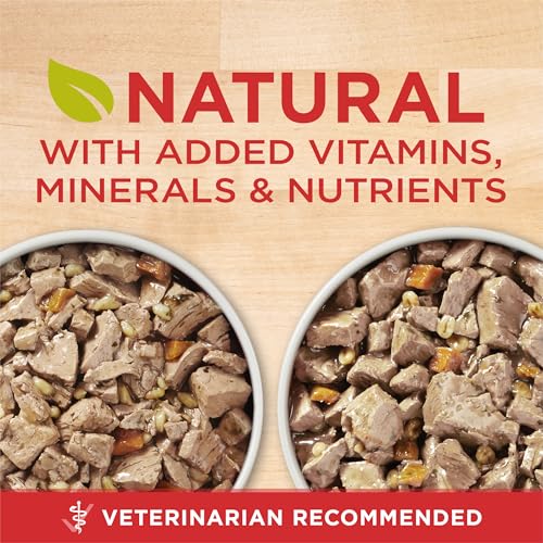 Image of Purina ONE Wet Dog Food Variety Pack, Tender Cuts, (12) 13 oz Cans | Tender Cuts in Gravy, Chicken & Rice and Beef & Barley Entrees, natural dog food with added vitamins, minerals, and nutrients