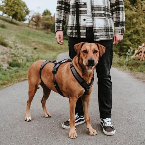 Sicherheitsgeschirr Maldon Farbe schwarz/grau, Größe S-M