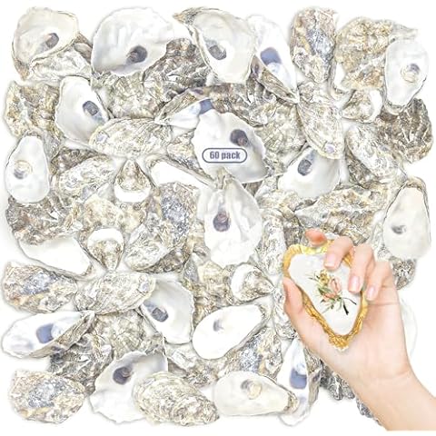stonechic 60PCS Oyster Shells 4"-5" Oyster Shells Bulk Large Oyster Shells for Home Decor Vase Filler, Ornaments, DIY Arts and Crafts Sea Shells, Deeper Shells Cover