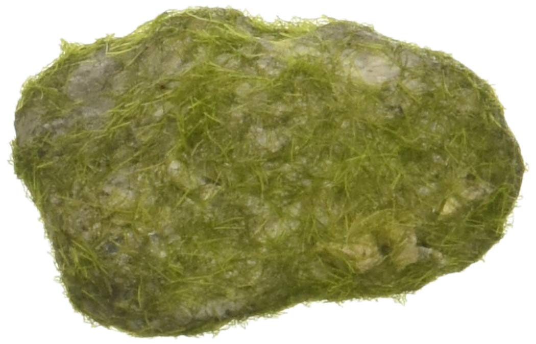 Darice CIC-13910GREY-GR Floral Faux Stones with Flocked Moss, Multicolor