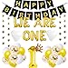 Twins First Birthday Party Decorations, Twins 1st Birthday Bday Decorations, We Are One Birthday Party Decorations, We Are One Happy Birthday Banner for Twins Boys Girls Triplets, First Birthday One Year Old Number Balloons for Twins