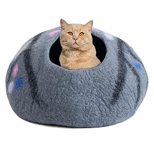 How to Get Cat Out of Crawl Space 05 Effective Methods