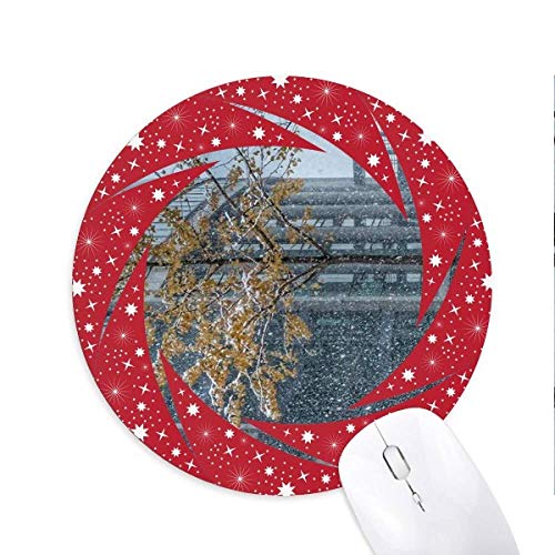 snowscenesʐ^ ~`S̐Ԃ̃zC[pbh