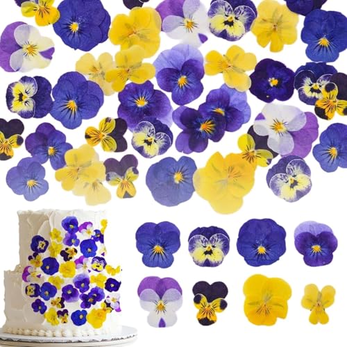Flores prensadas de pensamiento, 48 piezas surtidas miniatura 1