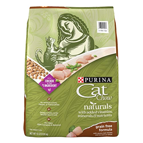 Best Cat Food for Smelly Poop in 2022 (with Reviews!)