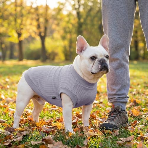 Image of 3 Pack Dog Shirt for Small Supplies Functional Waffle Dog Clothes Warm Soft Sweatshirt Outfit for Dogs Cats Pet Apparel