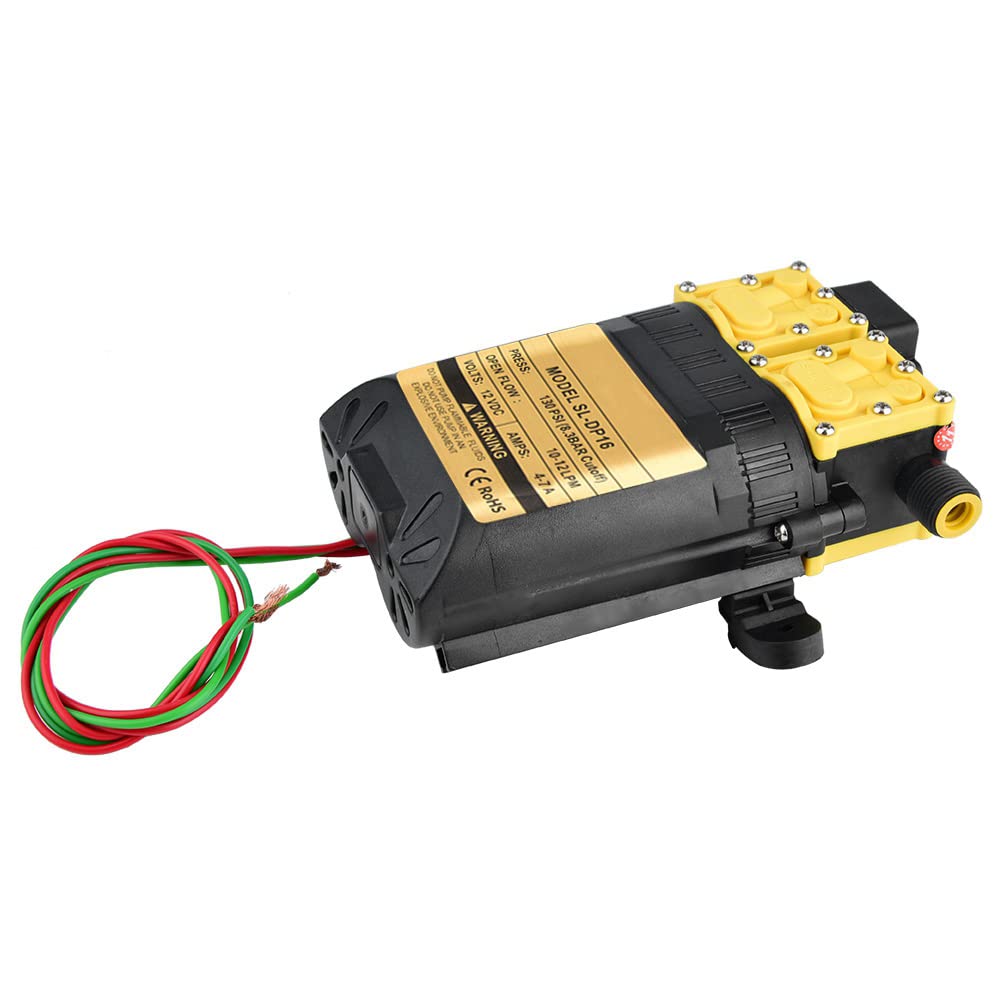 Pompa elettrica agricola ad alta pressione da 12 V Pompa per spruzzatore d'acqua Pompa di alimentazione dual core durevole per irrigazione da giardino Spruzzatura in acciaio fuso