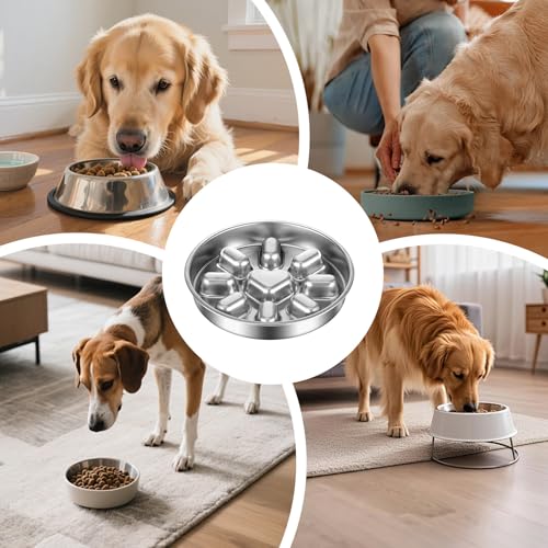 Dog Bowl Slow Feeder - Anti-Choking Puzzle Feeder | Stainless Steel Feeding Dish with Non-Slip Base Functions, Pet Food Storage with Eating Usage, Slow Feeding Dog Bowl Accessory for Fast Eater Pets - Afbeelding 5
