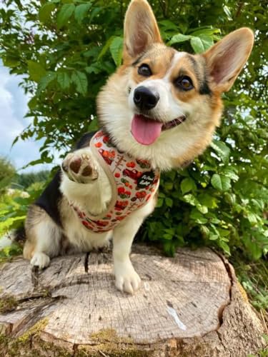 Pumpkin Patch Dog Harness L, Orange, large - Image 2