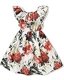 Toddler Girl Summer Dresses for 2 Years Infant Baby Girls Ruffle Wildflower Midi Casual Dress Kids Summer Clothes (Floral Red 02, 2-3T)