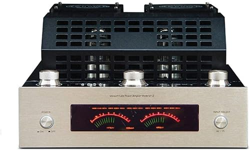 ZHANGLINER - Amplificador de alta potencia de alta fidelidad de audio estéreo para el hogar amplificador de tubo de vacío Bluetooth soporte USB DVD