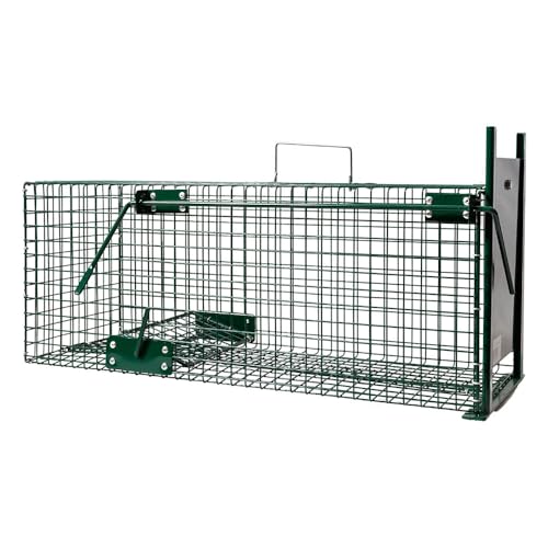 BOXTRAP - Boîte à Fauve 1 Porte - Piège pour Rat, Fouine et Autres Petits Nuisibles - avec Porte Coulissante - 62 x 21 x 21 cm