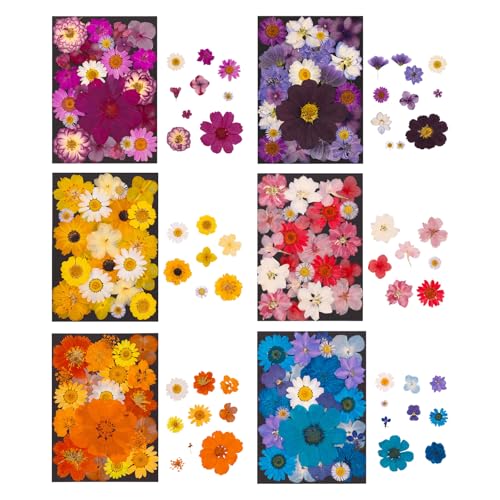 �h���C�����ԃA�[�g�N���t�g�����p�i������W���G���[���X�N���b�v�u�b�L���O�����ԃN���t�g