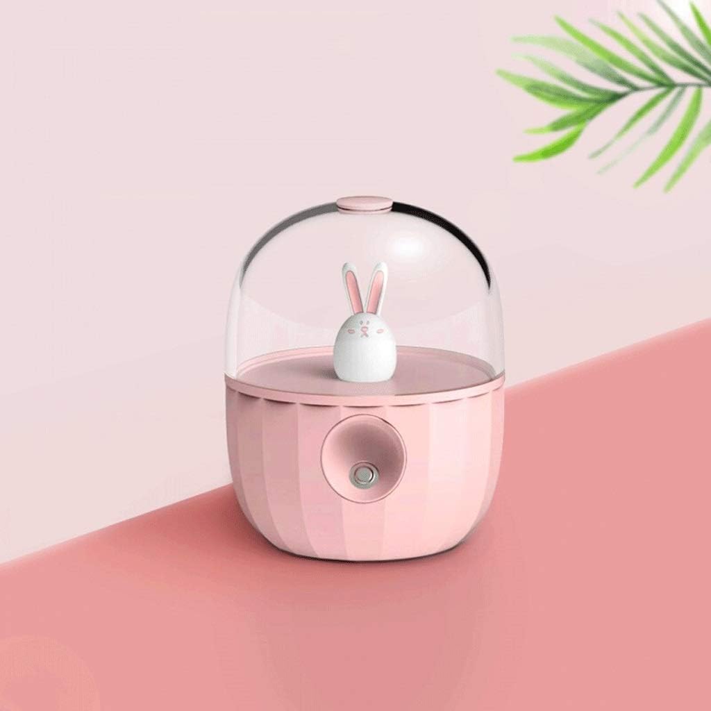for Home Humidifier Mini Small Home Bedroom Office Desktop Car Air-Conditioned Room Air Humidification and Water Mute USB Portable Air Humidifier (Color : D) (C)