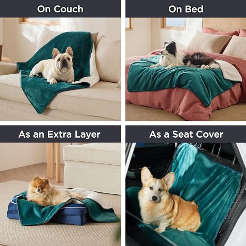 Image of Bedsure Cat Blanket for Indoor Cats - Waterproof Calming Cat Blankets for Kitten, Sherpa Fleece Pet Blanket, Soft Plush Reversible Throw Furniture Protector, 35 inchx25 inch, Green