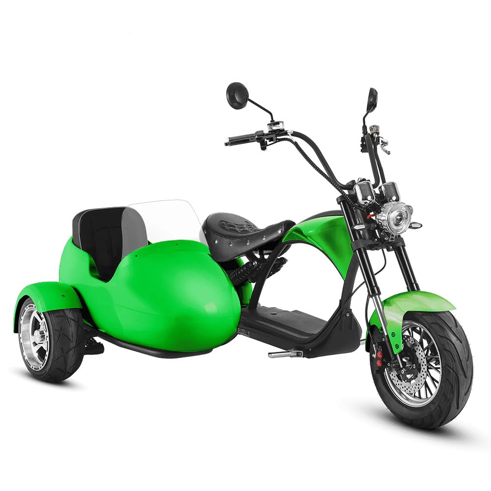 eAhora 2000W M1P Sidecar Electric Motorcycle for Adults,37mph 60V 30Ah Lithium Battery 40+ Miles Range, Full Suspension and Hydraulic Brakes Electric Mopeds, Purple